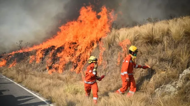 Incendio forestal