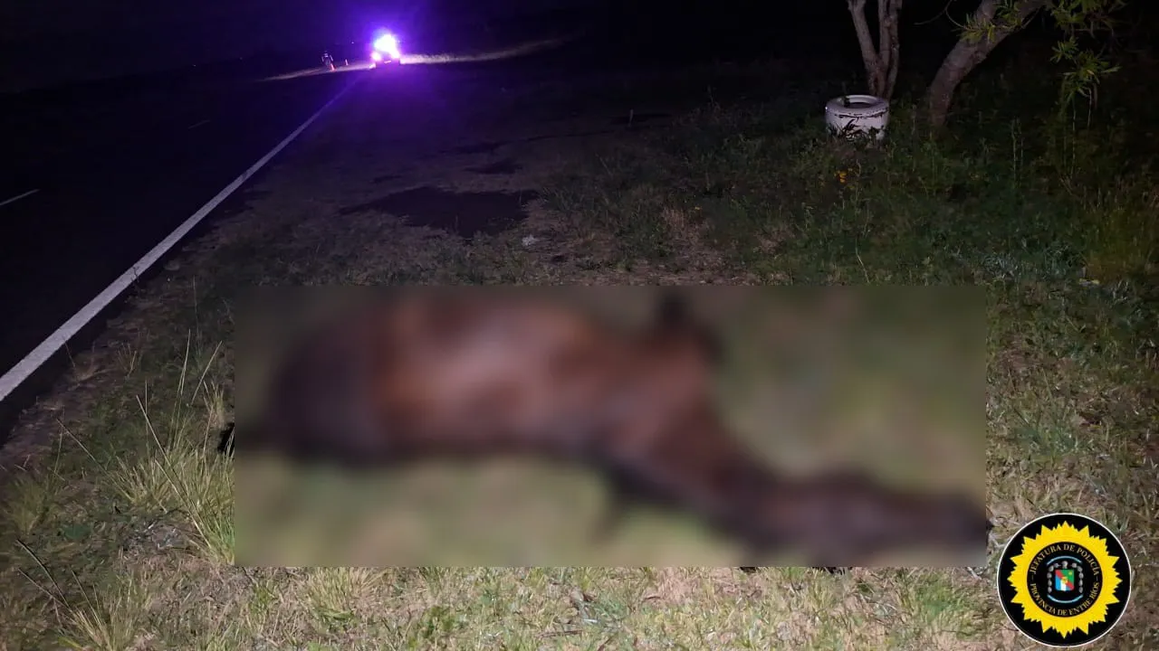 594493215_1273349274829114_4626771072791259616_n