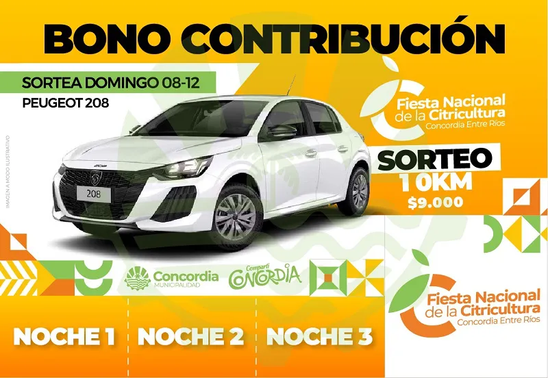 WhatsApp Image 2024-11-08 at 16.34.53