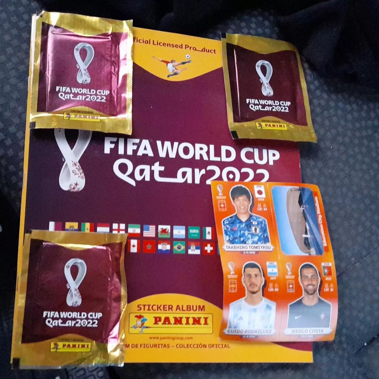 Panini_1