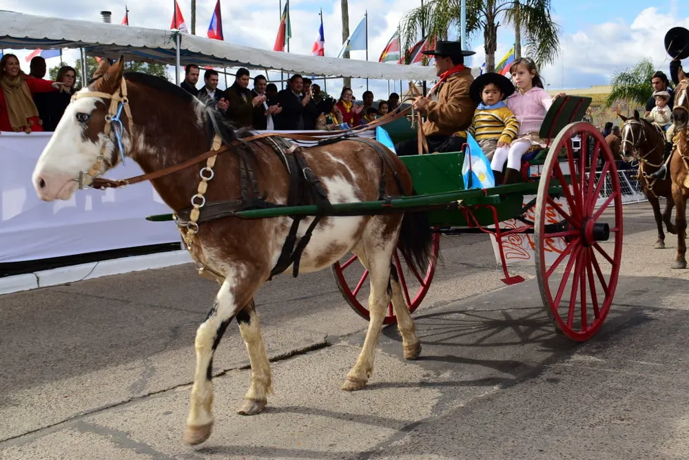DESFILE DEL 9 DE JULIO - ARCHIVOS (3)