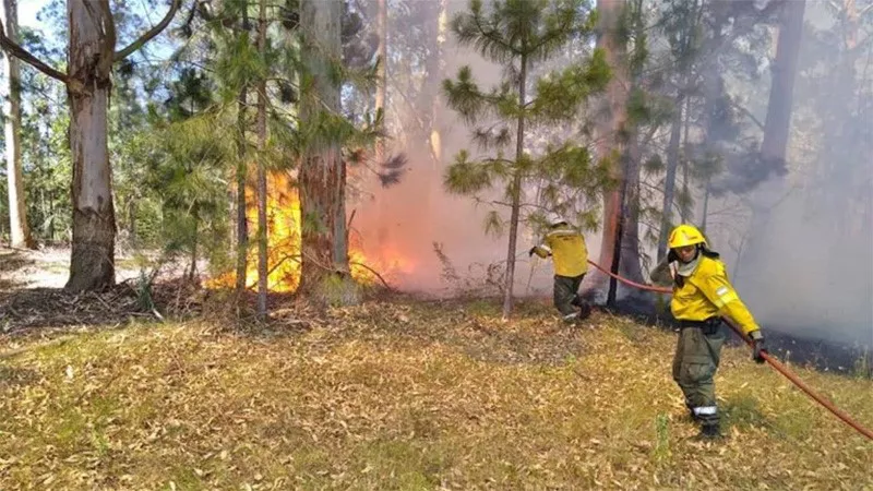 incendios
