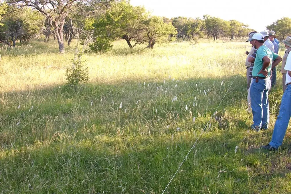 Bosques Nativos Entre Ríos (1)
