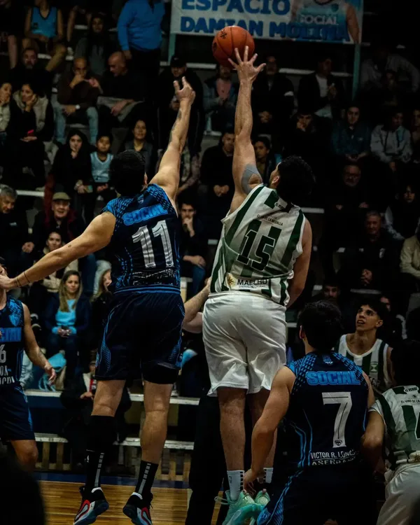 baquet verde SSS