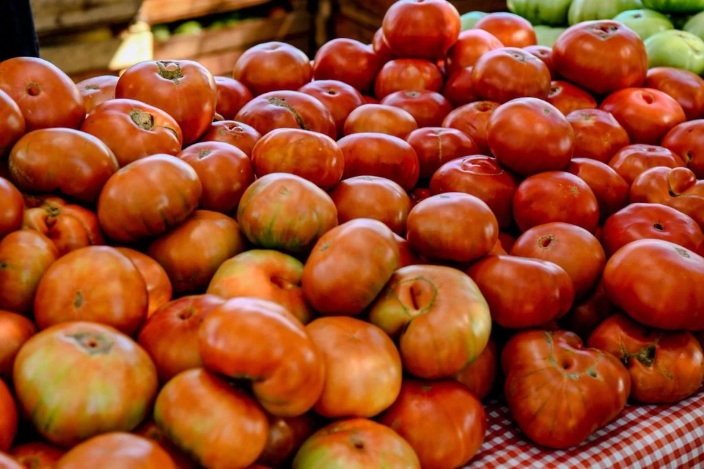 Fiesta-Tomate-Platense-3-1024x682