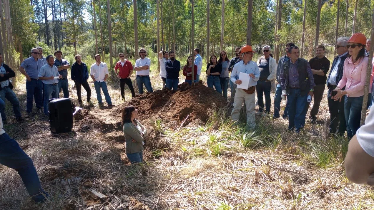 jornadas forestales