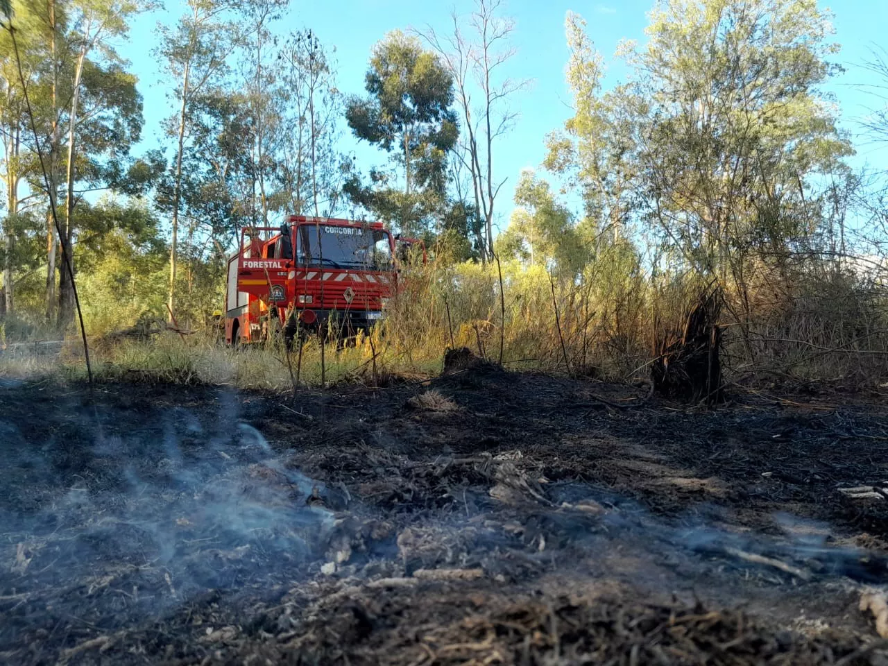 Bomberos Voluntarios_1