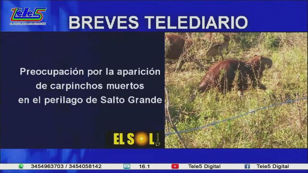 telediario 1307