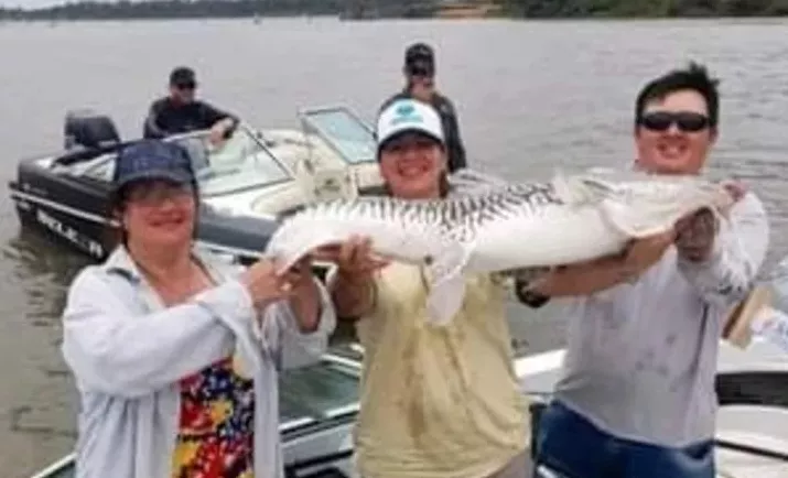 Pesca del Surubí