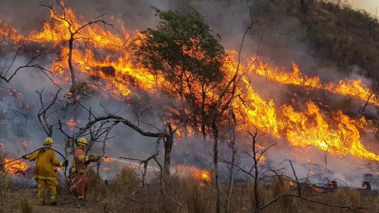 incendios forestales argentina