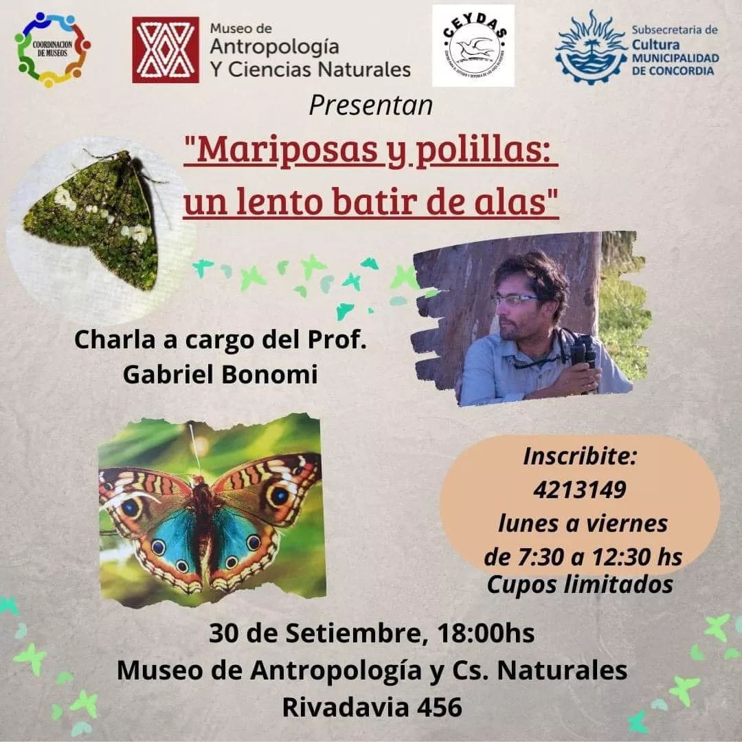 Charla Mariposas y polillas - Gabriel Bonomi