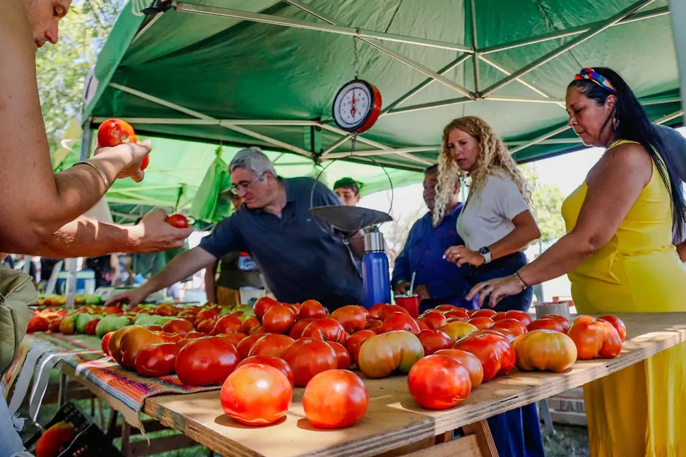 Fiesta-Tomate-Platense-15