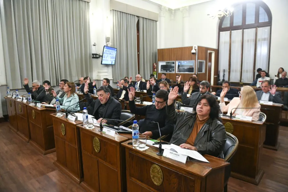 SENADO