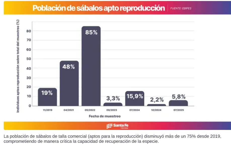 captura-de-pantalla-2025-11-03-220359