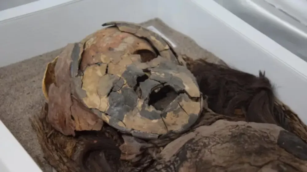 momia-de-la-cultura-chinchorro-hallada-en-2019-con-mascara-de-arcilla-y-peluca-foto-mark-johansoncnn-MXI3HNM2AFAR7CU5IHQ6M62YEM