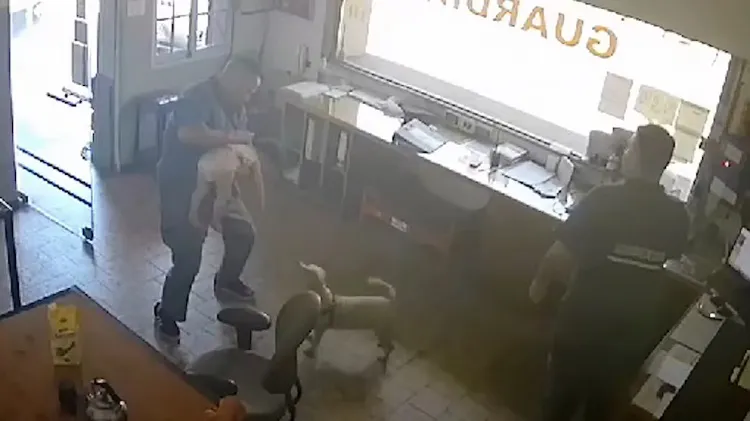 El momento en el que uno de los bomberos le practica las maniobras de reanimación a la bebé