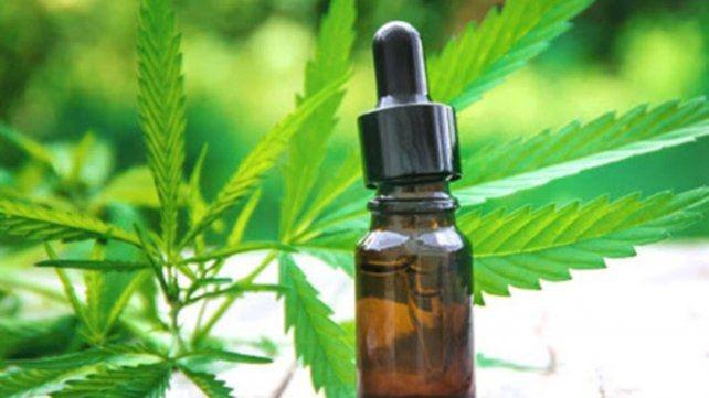 cannabis