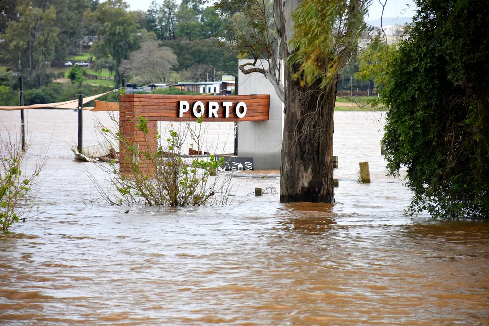 CRECIENTE - RÍO - CONCORDIA (3)