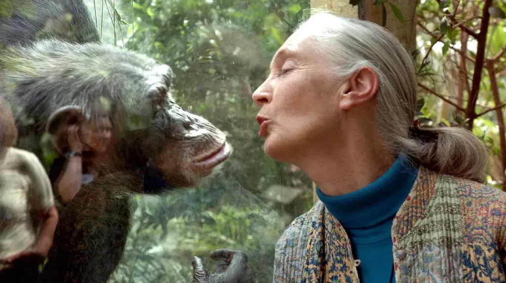jane-goodall-murio-por-causas-naturales-a-los-91-anos-foto-jens-schlueter-ddp-afp-MJBLAR3RCNDPZFGSENYWEMGUZA