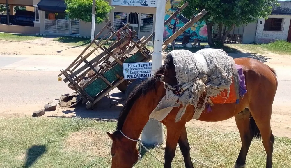 CONTRA LA RREACCIÓN A SANGRE - FOTOS DE ARCHIVO