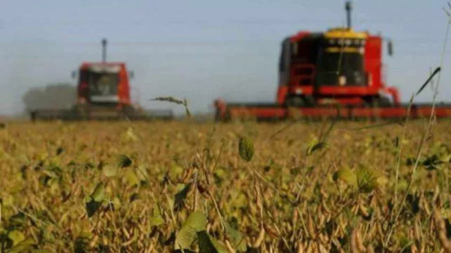 Agro