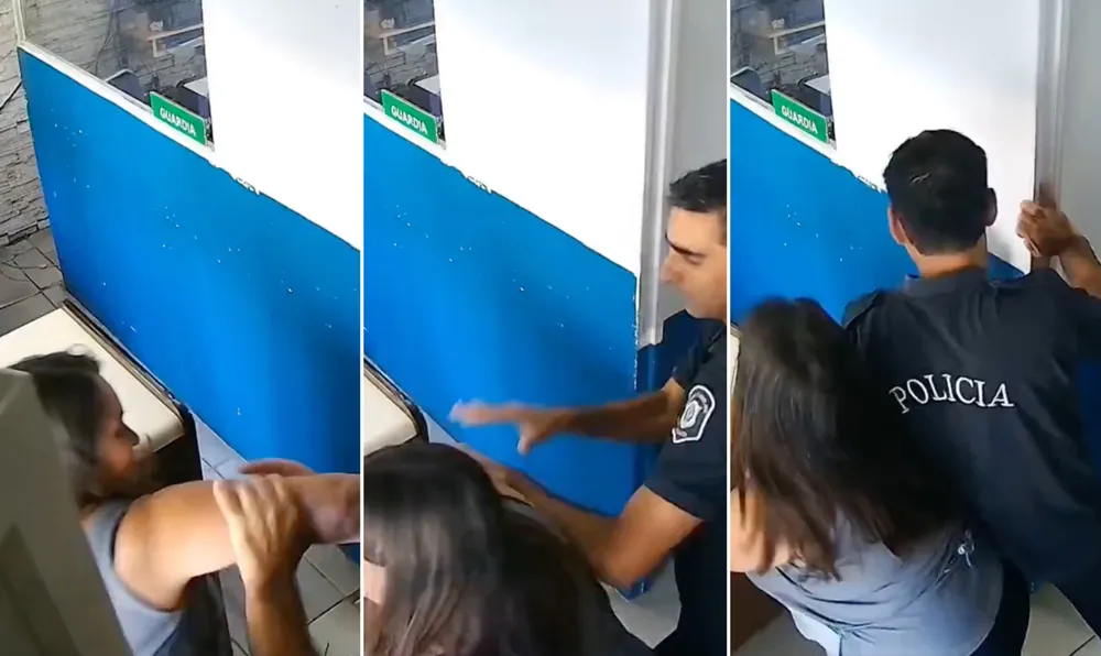 un-policia-golpeo-e-insulto-una-mujer-que-queria-denunciar-una-estafa-mar-del-plata