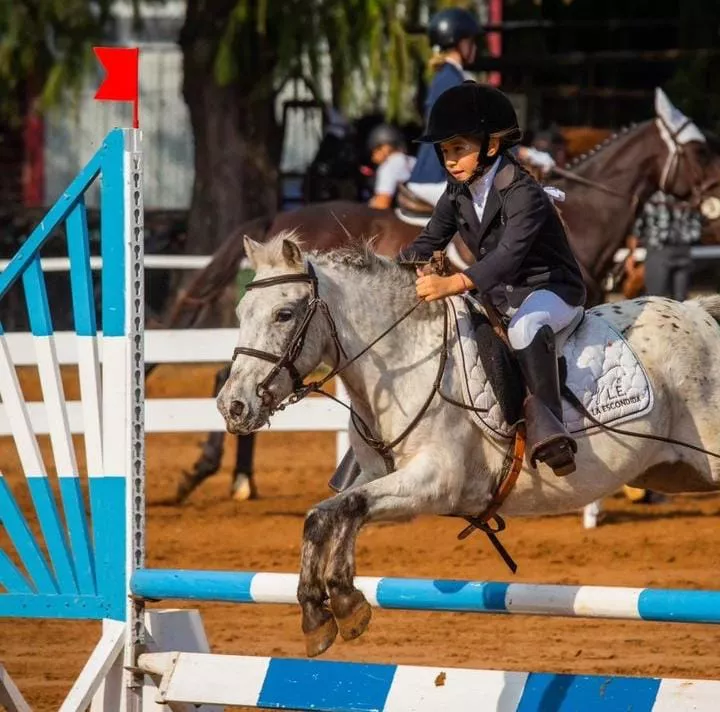 SALTOS HÍPICOS (6)