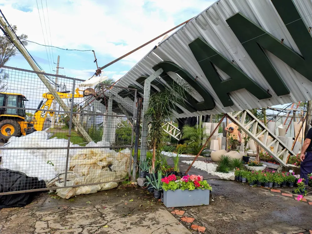 vivero