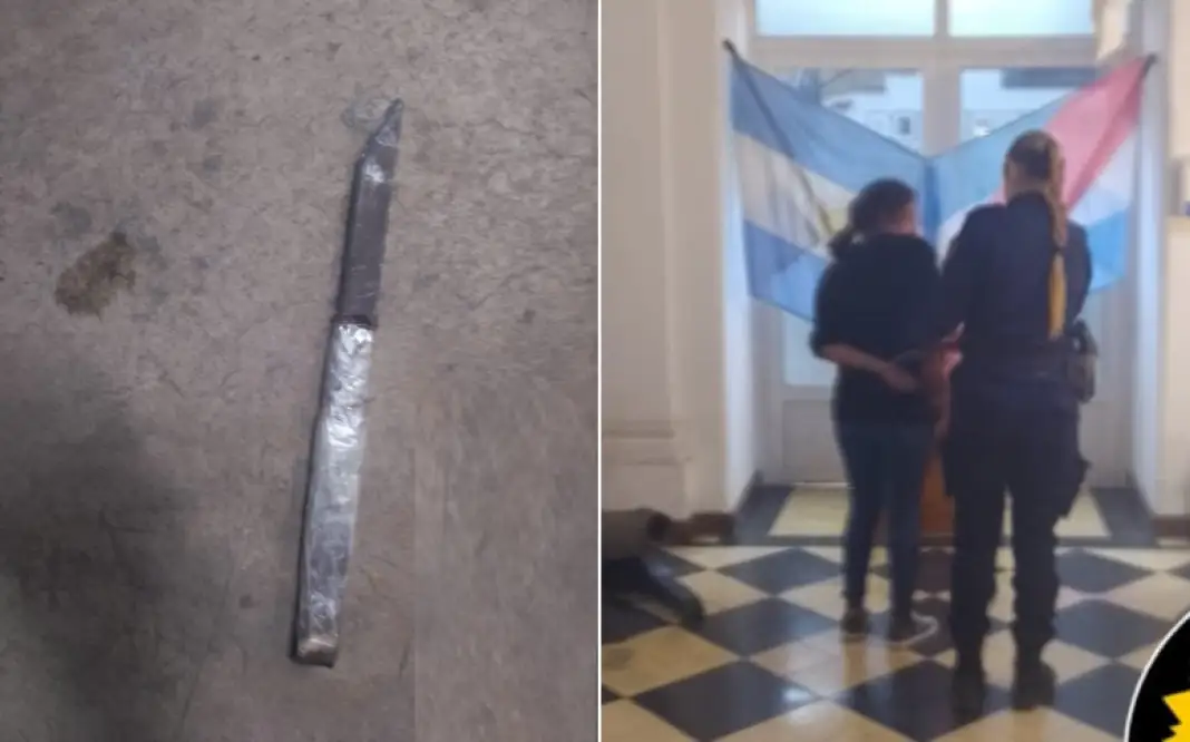 Llamó a la Policía porque su hijo la amenazaba, pero terminó detenida por atacar a los agentes