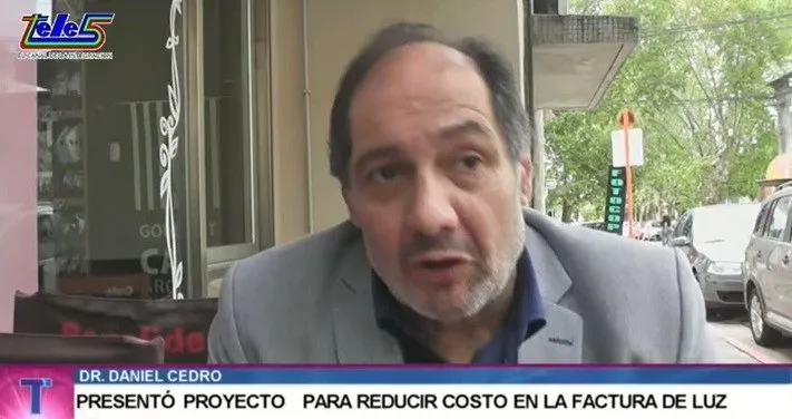 cedro