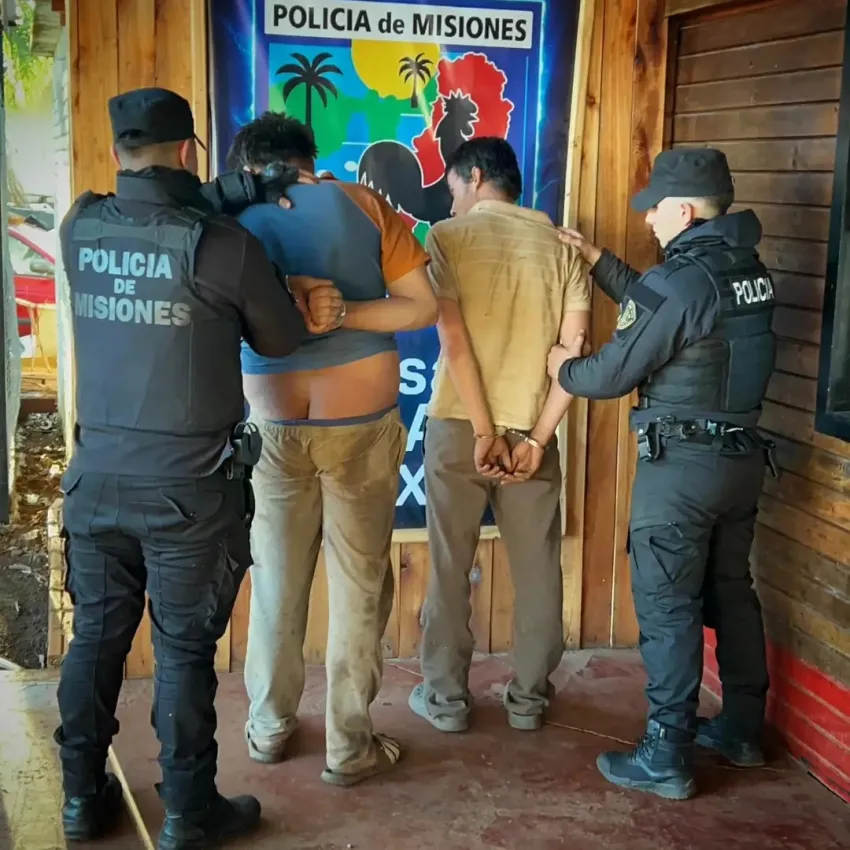 Dos jóvenes quedaron detenidos por el robo de una chancha preñada