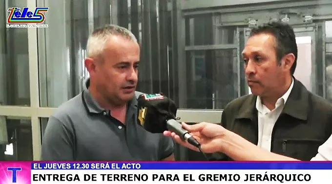 Jerárquicos