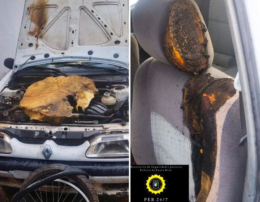 incendio violencia de género