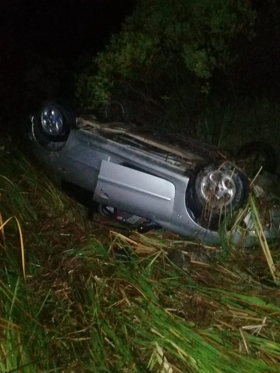 d0e3b596-97d6-4423-acbe-bcfc18286756