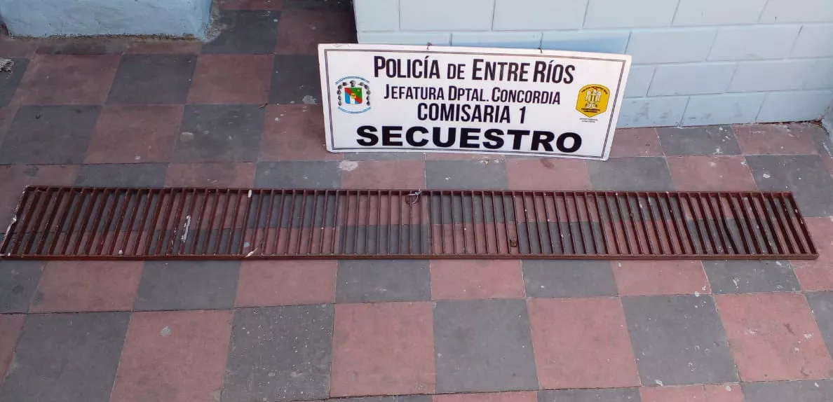 Peligroso ladrón de rejillas