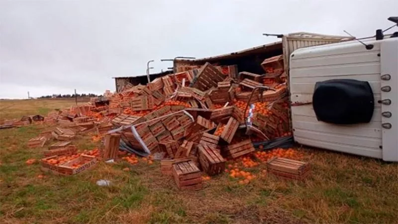 CAMION DE CITRUS