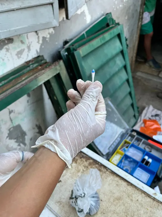 f5015b99-c857-483f-9852-a56d898dba05