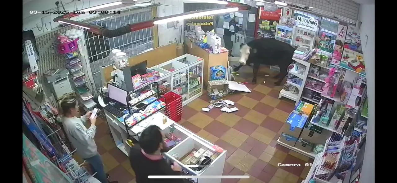 lavaca