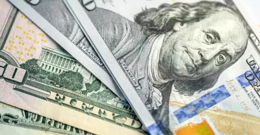 dolar 24
