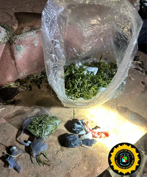 c09fac8a-13b8-4840-b6c7-079a62c687a7