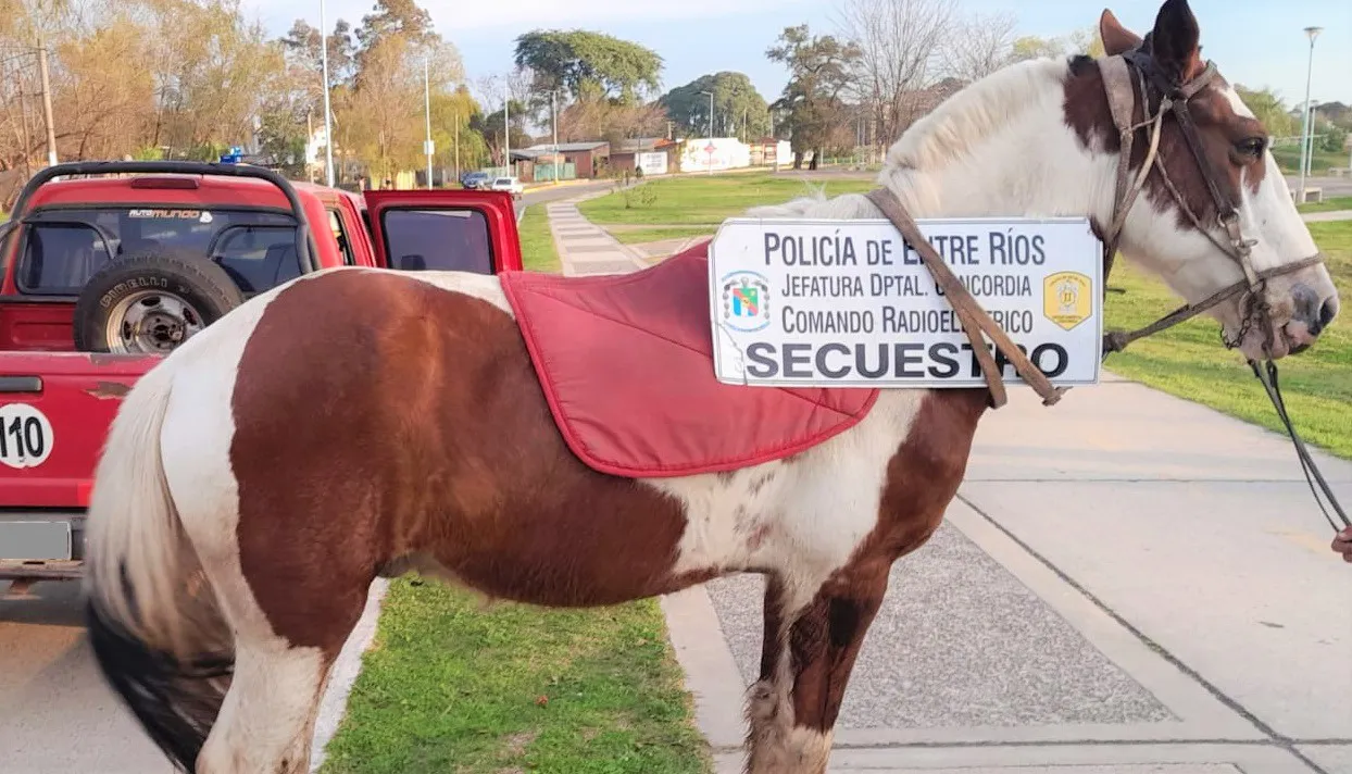 WhatsApp Image 2023-08-01 at 11.36.46 AM (2)