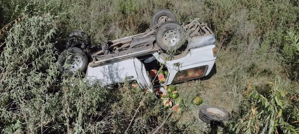 5919b529-e7db-4ad3-b2f0-e79ebf571bce