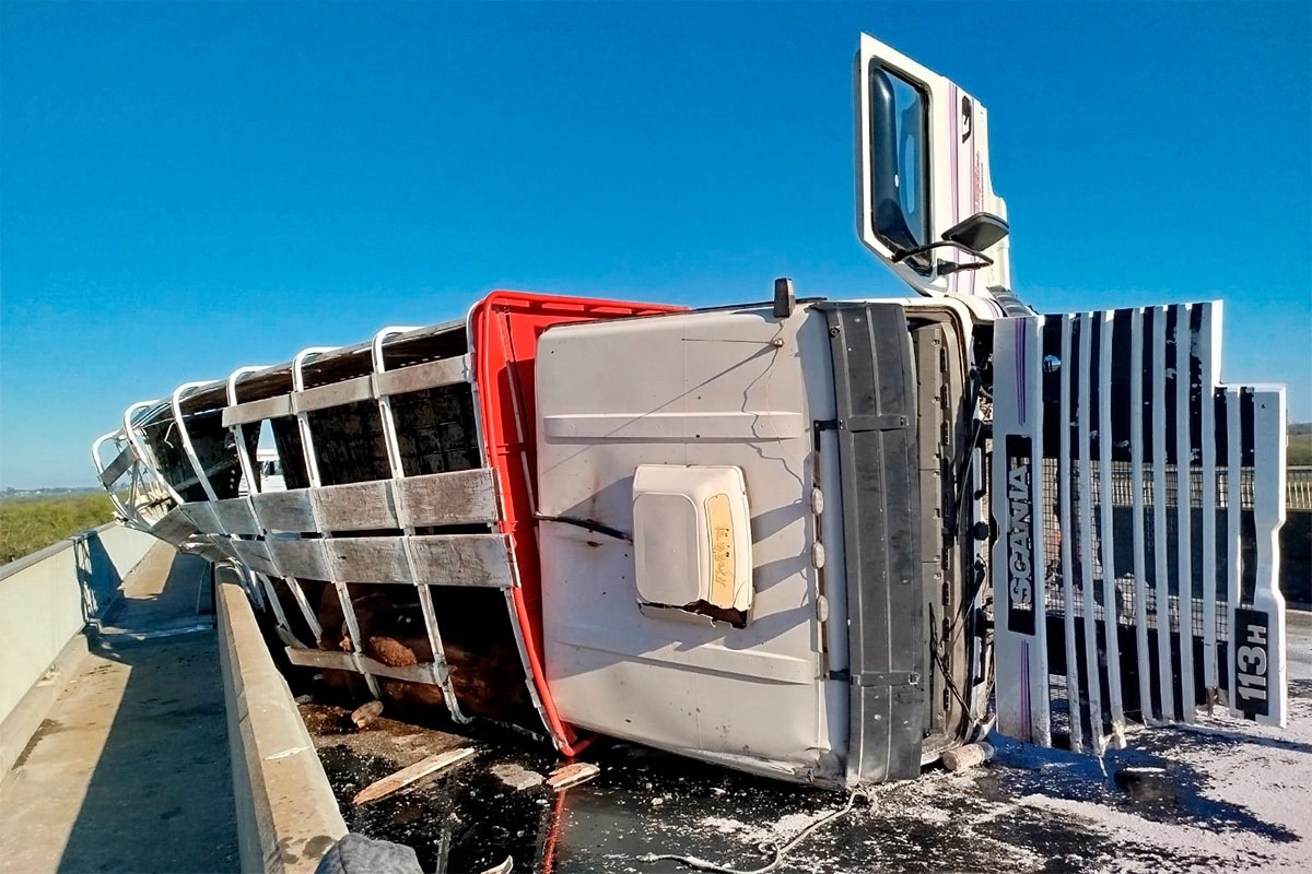 camion1