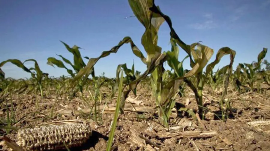 Agricultura
