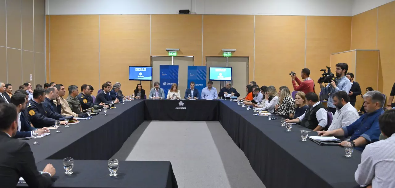consejo seguridad (3)