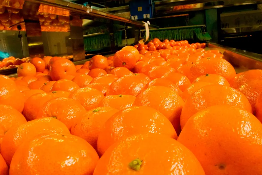 naranjas