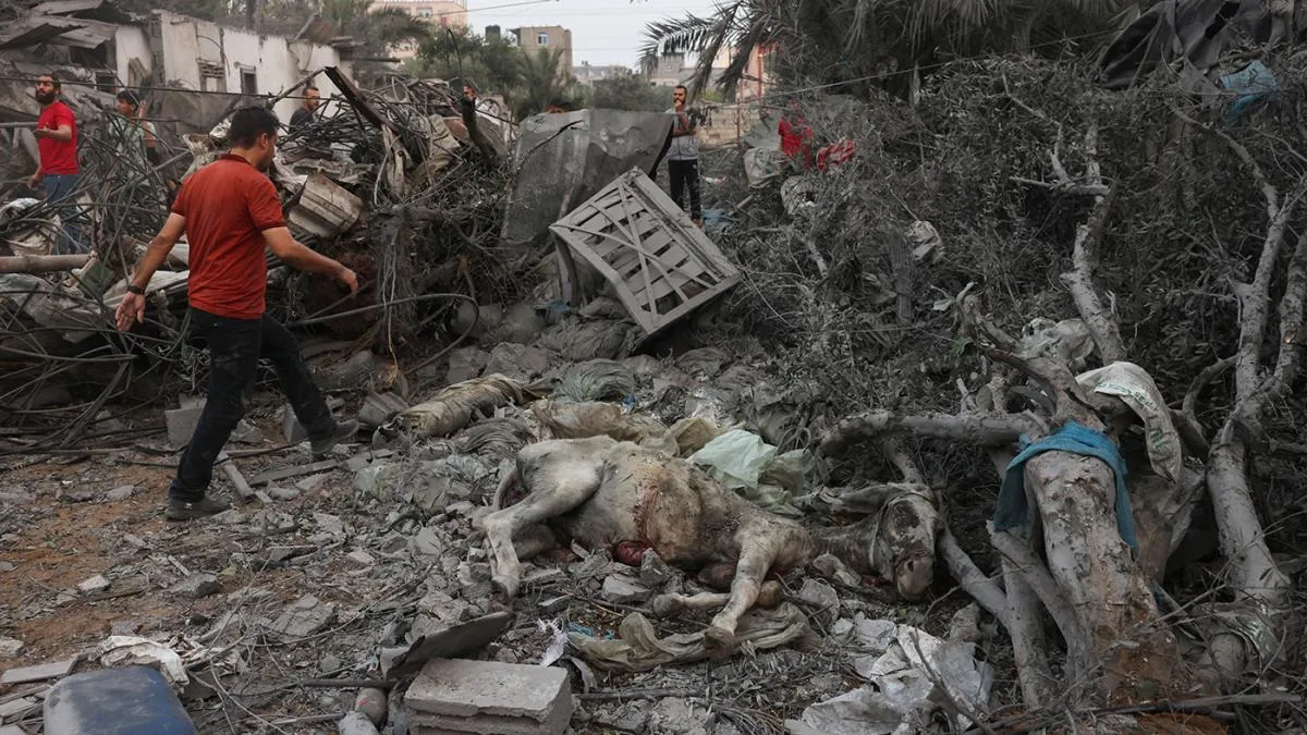 onu gaza
