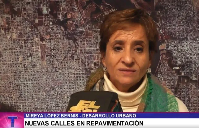 mireya lópez bernis