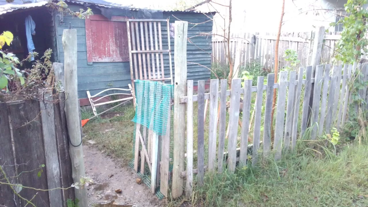 IMG-20220509-WA0024