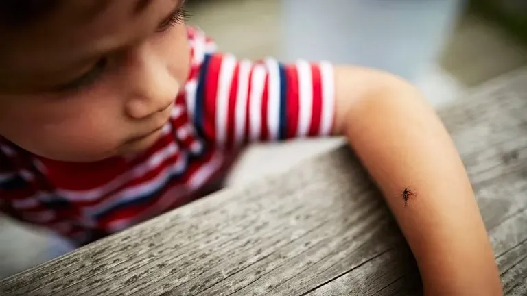 dengue_1